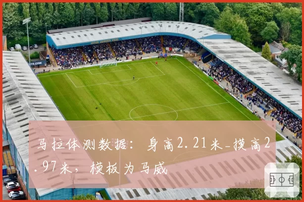 马拉体测数据:身高2.21米_摸高2.97米,模板为马威