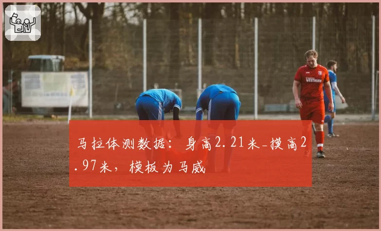 马拉体测数据:身高2.21米_摸高2.97米,模板为马威